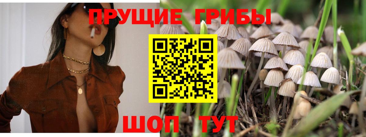 Галлюциногенные грибы ЛСД  Галлюциногенные грибы Magic Shrooms  Назарово  Вход с VPN 